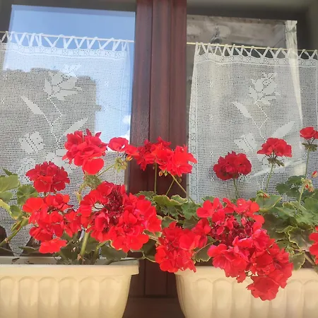 Tatil Evi Santanto Nel Cuore Di 120 Mt *